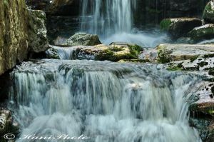DSC_3395Copyright_resize.jpg