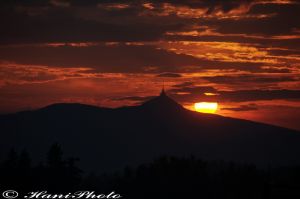 DSC_3605Copyright_resize.jpg