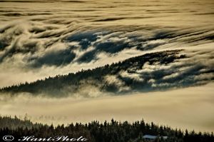 DSC_7829Copyright_resize.jpg